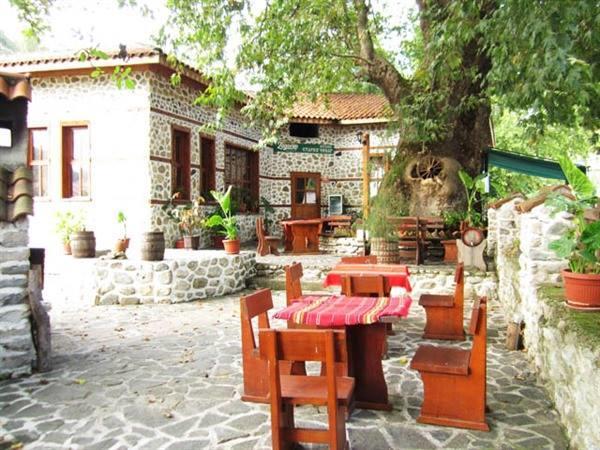 Комплекс Стария Чинар Melnik (Blagoevgrad) Exteriér fotografie