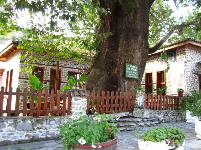 Комплекс Стария Чинар Melnik (Blagoevgrad) Exteriér fotografie