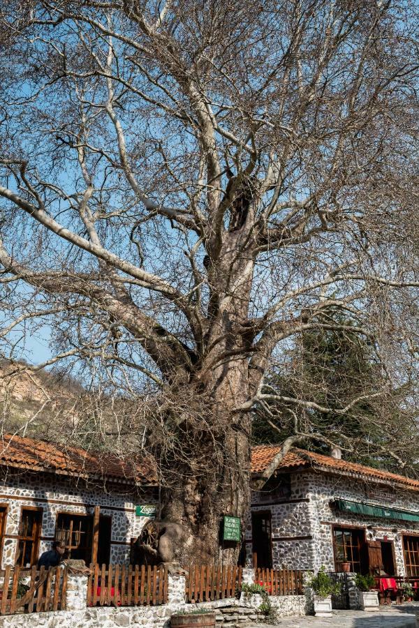 Комплекс Стария Чинар Melnik (Blagoevgrad) Exteriér fotografie