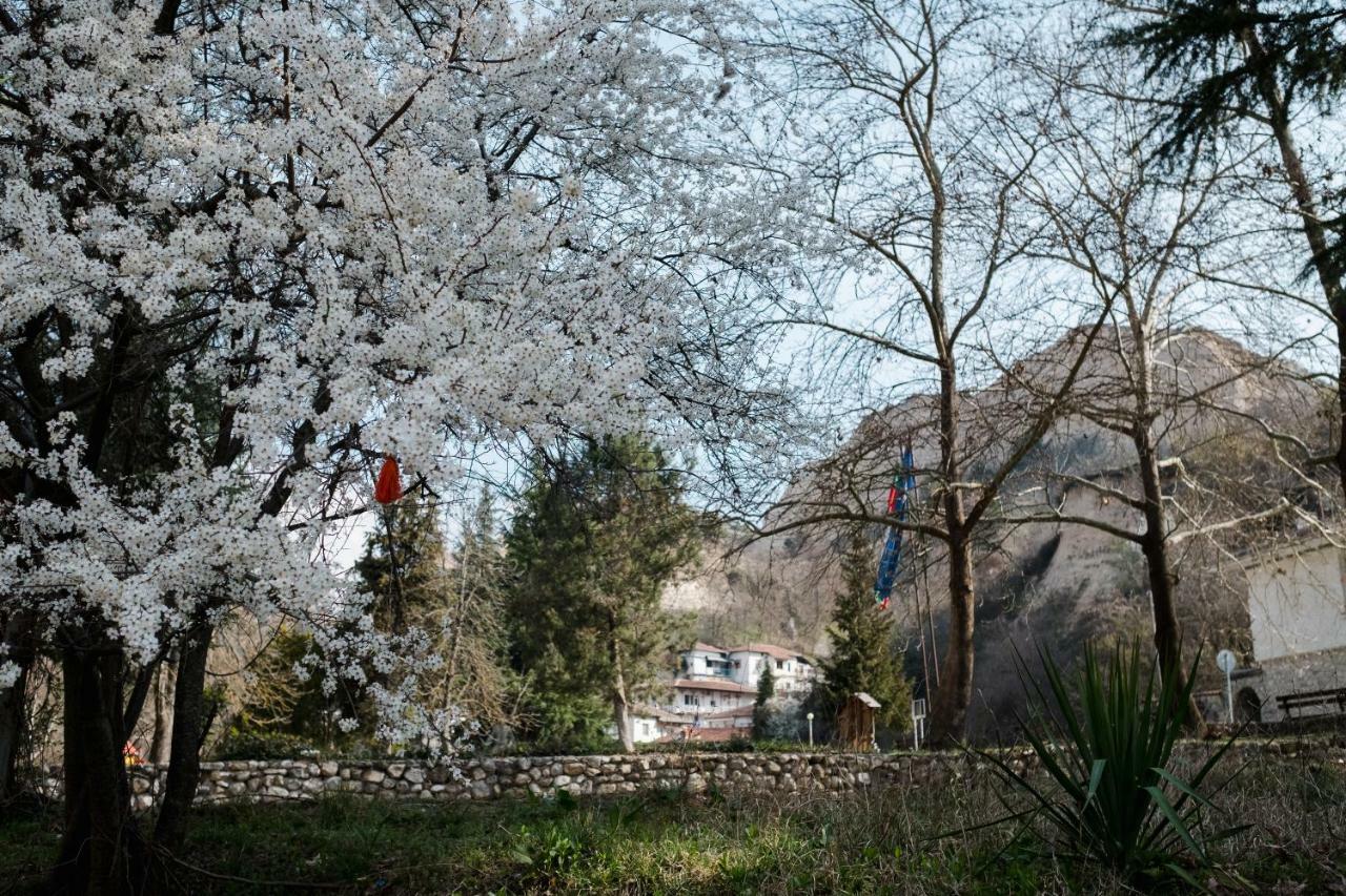 Комплекс Стария Чинар Melnik (Blagoevgrad) Exteriér fotografie