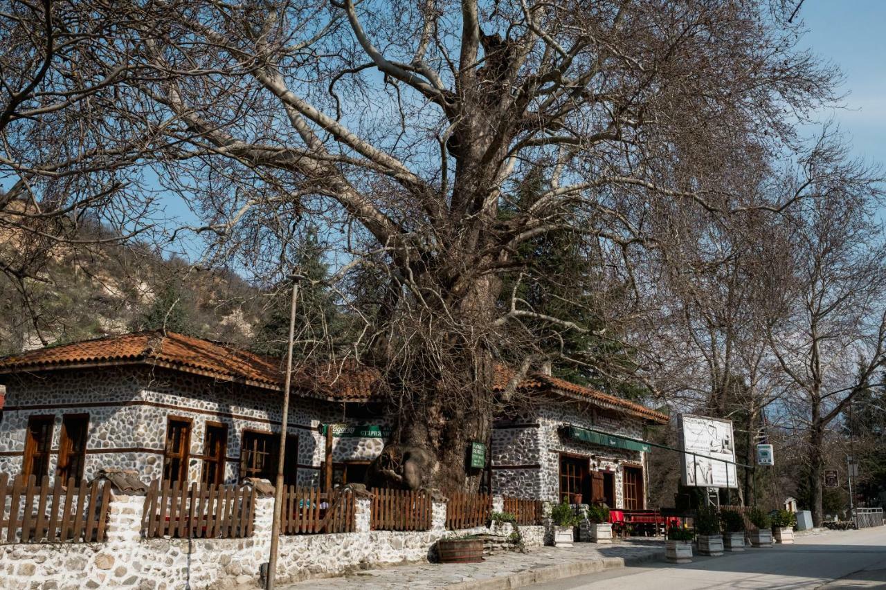 Комплекс Стария Чинар Melnik (Blagoevgrad) Exteriér fotografie